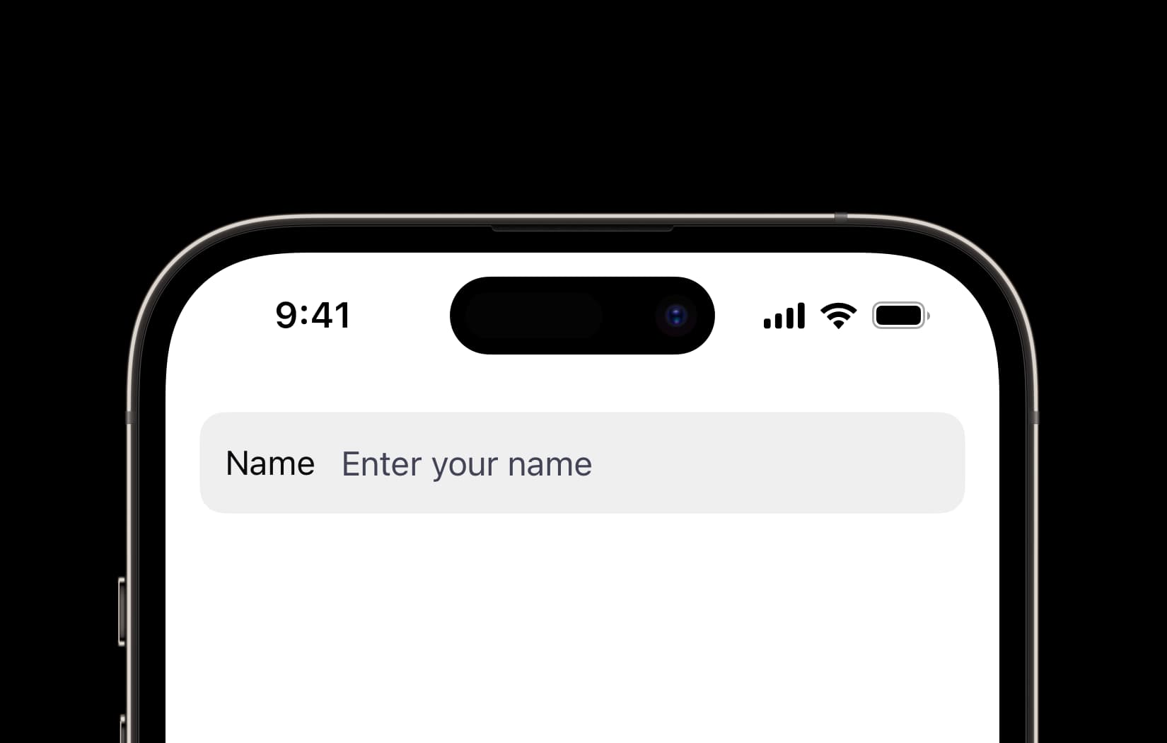 Input Field